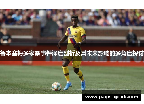 鲁本塞梅多家暴事件深度剖析及其未来影响的多角度探讨