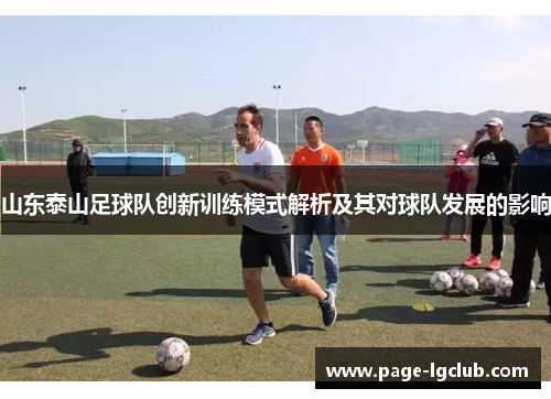 山东泰山足球队创新训练模式解析及其对球队发展的影响