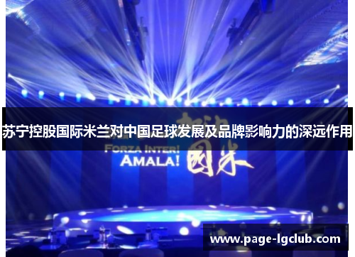 苏宁控股国际米兰对中国足球发展及品牌影响力的深远作用