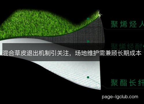 混合草皮退出机制引关注,场地维护需兼顾长期成本 混合草皮退出机制引关注,场地维护需兼顾长期成本
